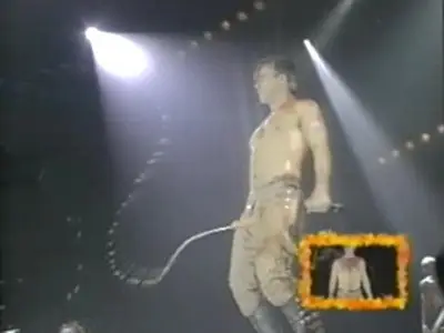 Rammstein - The Videos 1995-2009 DVD (2009)