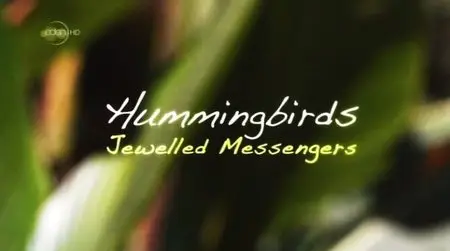 UKTV - Hummingbirds: Jewelled Messengers (2012)