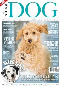 Edition Dog - Issue 14 - 29 November 2019