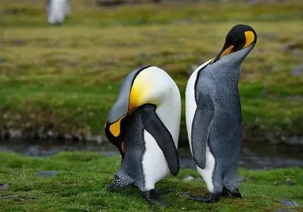 World In Photo 267
