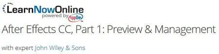 LearnNowOnline - After Effects CC, Part 1: Preview & Management