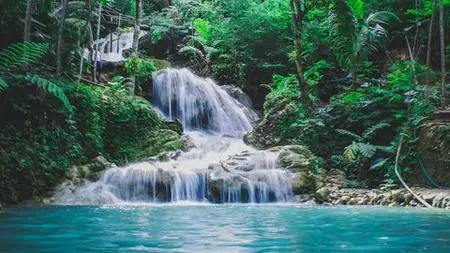 Accredited Professional Practical Feng Shui Master Course
