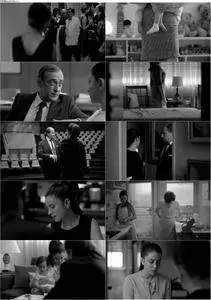 Incident Light (2015) La luz incidente