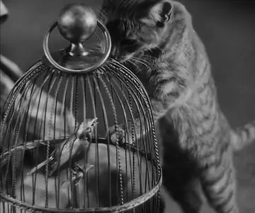 F.W. Murnau – City Girl (1930)