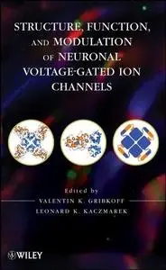 Structure, Function, and Modulation of Neuronal Voltagegated Ion Channels