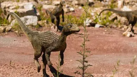 Introduction In Paleontology From Scratch - (Dinosaurs)