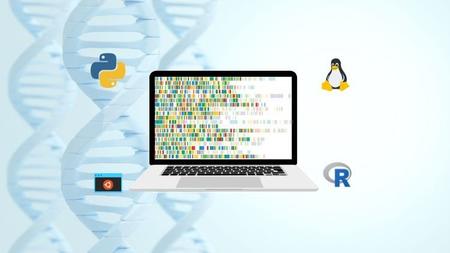 Bioinformatics Data Analysis Crash Course Python R and Linux