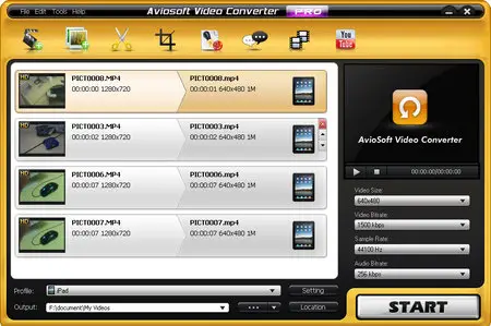 Aviosoft Video Converter Professional 5.0.0.0 + Portable
