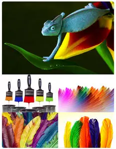 Colour game