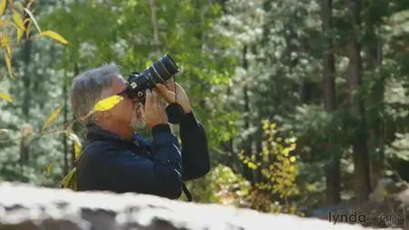 Lynda - Travel Photography: The Family Cabin with Ben Long [repost]