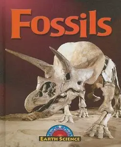 Fossils (Science Matters)
