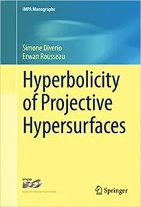 Hyperbolicity of Projective Hypersurfaces (Repost)