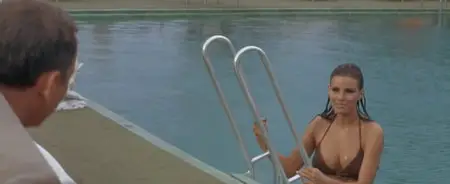 Lady In Cement (1968)