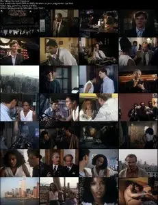 Taking the Heat (1993) 