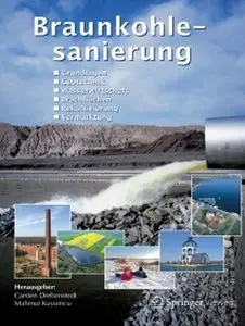 Braunkohlesanierung: Grundlagen, Geotechnik, Wasserwirtschaft, Brachflächen, Rekultivierung, Vermarktung