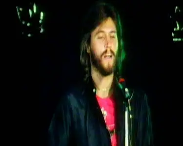Bee Gees - The Story of...Robin, Barry & Maurice Gibb (2011)