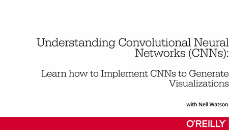 Understanding Convolutional Neural Networks (CNNs)