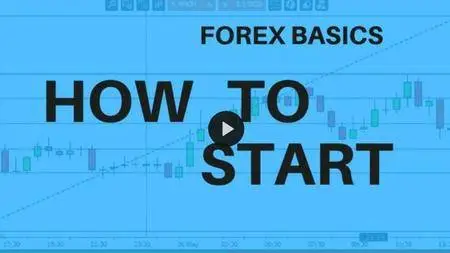 Forex Basics: How to Start on Forex Market