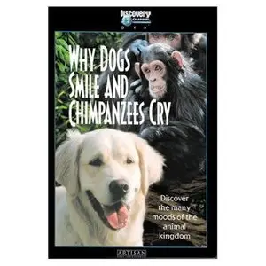 Discovery Channel - Why Dogs Smile And Chimpanzees Cry