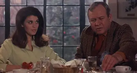 Loving (1970)