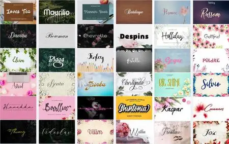 Mix Font Bundle 27- 36 Premium Fonts