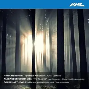 Aurora Orchestra, Nash Ensemble, Britten Sinfonia - Anna Meredith, Alexander Goehr & Colin Matthews: Chamber Works (Live) (2020