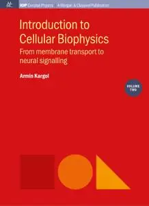 Introduction to Cellular Biophysics, Volume 2: From membrane transport to neural signalling