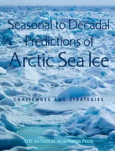 Seasonal-to-Decadal Predictions of Arctic Sea Ice: Challenges and Strategies