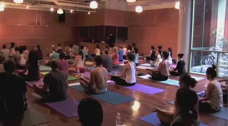 Yoga Live Online with Travis Eliot