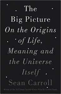 The Big Picture: On the Origins of Life, Meaning, and the Universe Itself