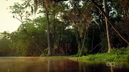 IMAX - Hurricane on the Bayou (2006)