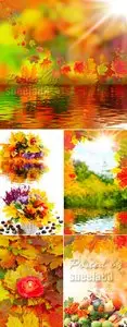 Stock Photo - Colorful Autumn