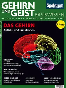 Gehirn und Geist Magazin Sonderheft Basiswissen Das Gehirn 2. Auflage 2013