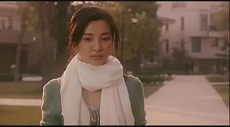 Cash Chin Man-Kei: Fight for love (2007)