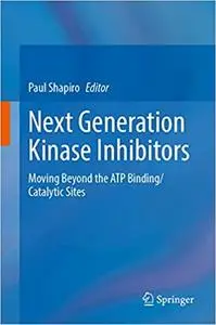 Next Generation Kinase Inhibitors: Moving Beyond the ATP Binding/Catalytic Sites