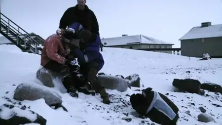 South of Sanity (2012)
