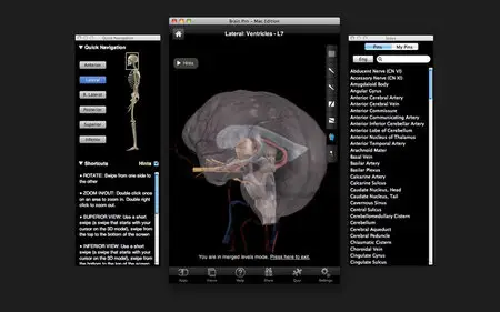 Brain Pro v1.0 Mac OS X