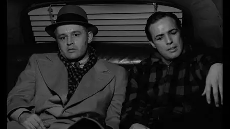 On the Waterfront (1954) [The Criterion Collection #647]