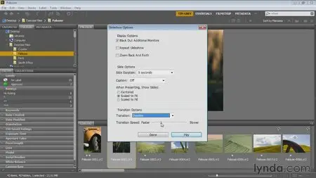 Bridge CC for Photographers (2013) [repost]