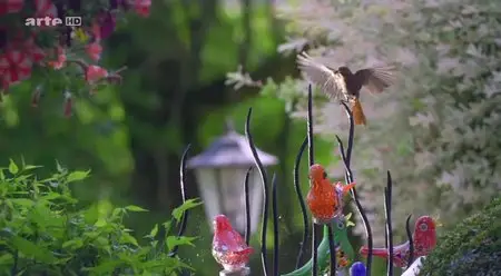 (Arte) Merveilleux jardin (2014)