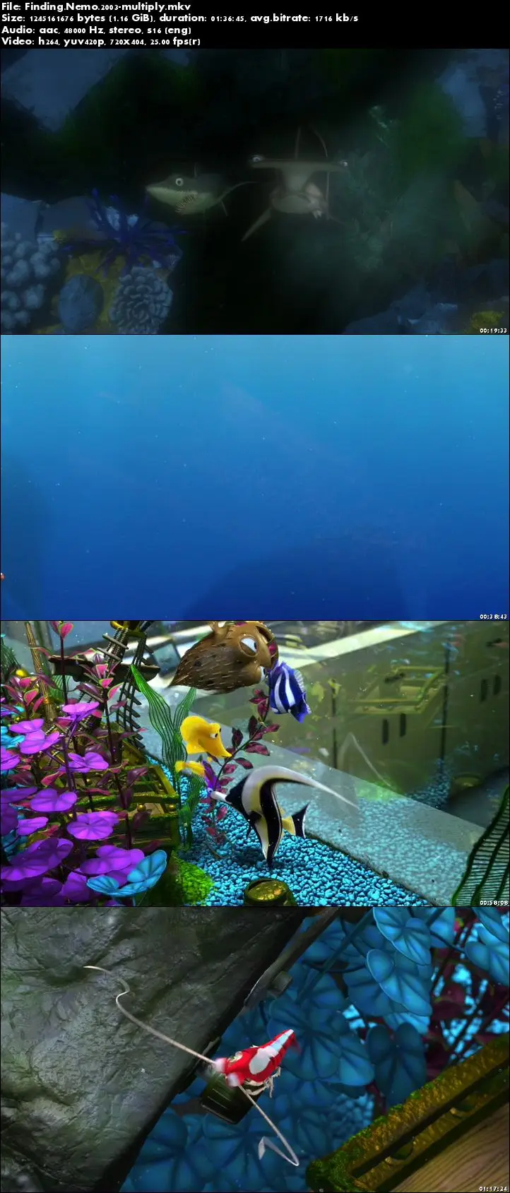 Finding Nemo (2003)  AvaxHome