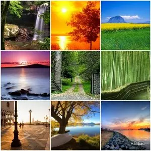The magnificent beauty of nature