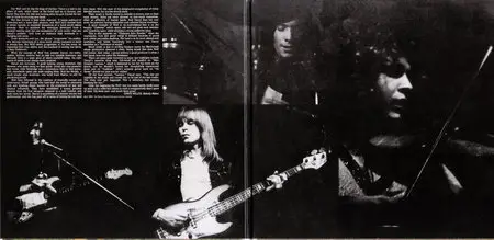 Darryl Way's Wolf - Studio Albums (1973 - 1974)