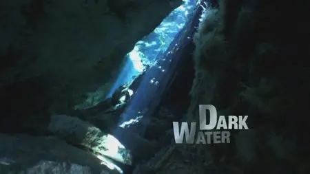 Water Life: Episode 7 - Dark Water / Mundos de agua / Водная жизнь. Серия 7 - Тёмная вода (2008)