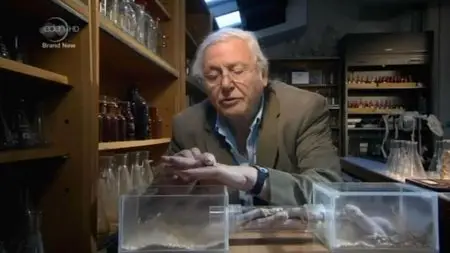 UKTV - Attenborough's Natural Curiosities (2013)