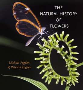 The Natural History of Flowers