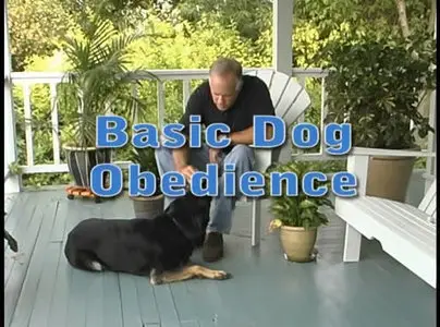 Lееrburg Basic Dog Training