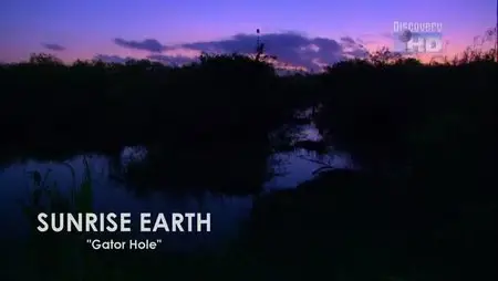 Discovery Channel Sunrise Earth - Gator Hole