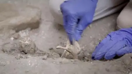 Gedeon - Pompeii: Disaster Street (2020)