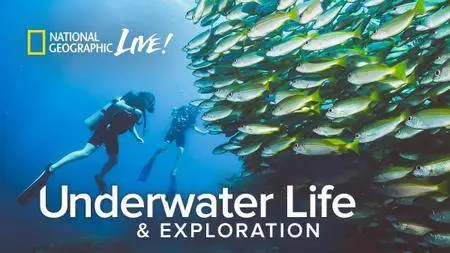 Underwater Life & Exploration